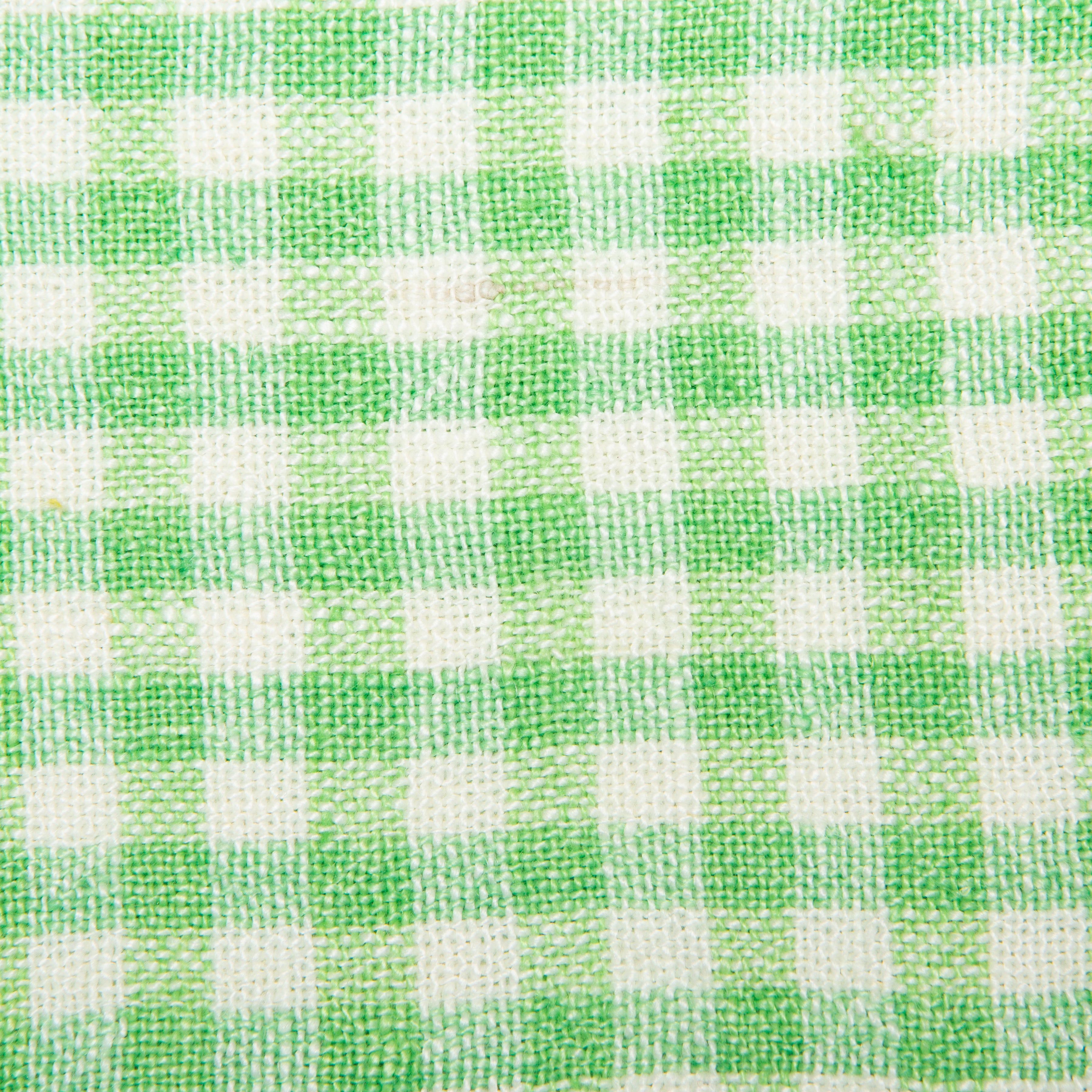 lime & aqua
