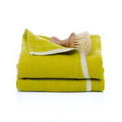#color_lime